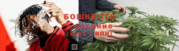 стаф Аркадак