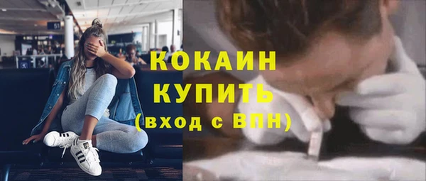 стаф Аркадак